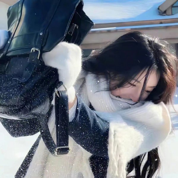 逆女泰瑞丝